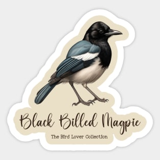 Black-Billed Magpie - The Bird Lover Collection Sticker